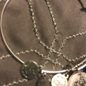 Alex and Ani Disneyland Silver Bracelet.